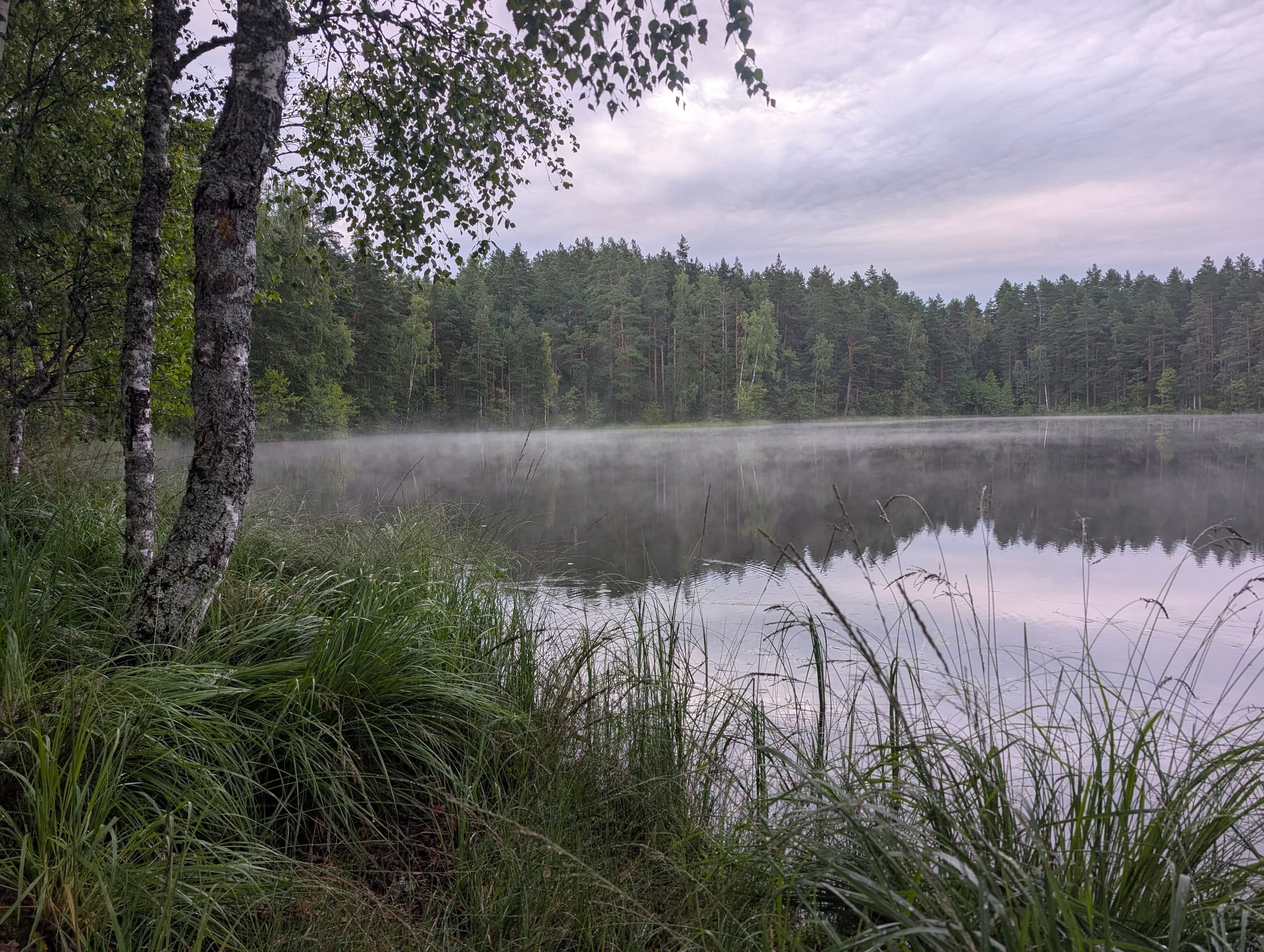 Mist on the lake at dawn